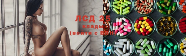 PSILOCYBIN Алексеевка