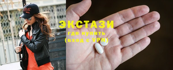гидра Горняк