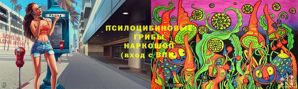 PSILOCYBIN Алексеевка