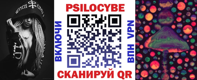 Псилоцибиновые грибы Psilocybe  купить  сайты  Урюпинск 